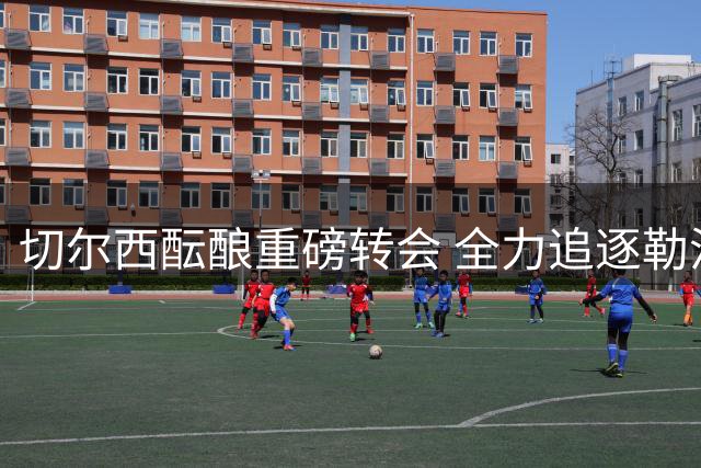 切尔西酝酿重磅转会 全力追逐勒沃库森新星阿拉伊贝戈维奇