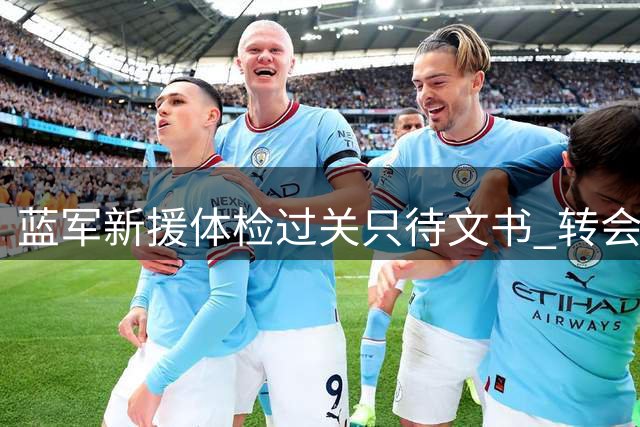 蓝军新援体检过关只待文书 转会专家揭秘英超官宣流程